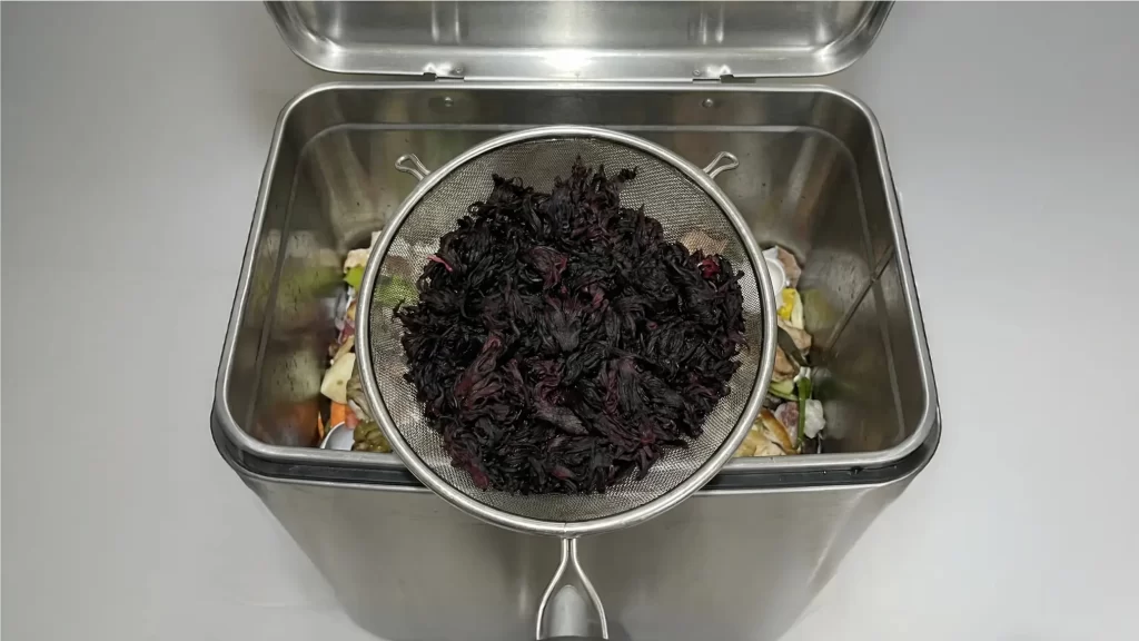 El Error de Colar la Jamaica ¿Estás Tirando los Antioxidantes a la Basura?